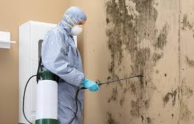 Best Forensic Mold Investigation in Duquesne, PA